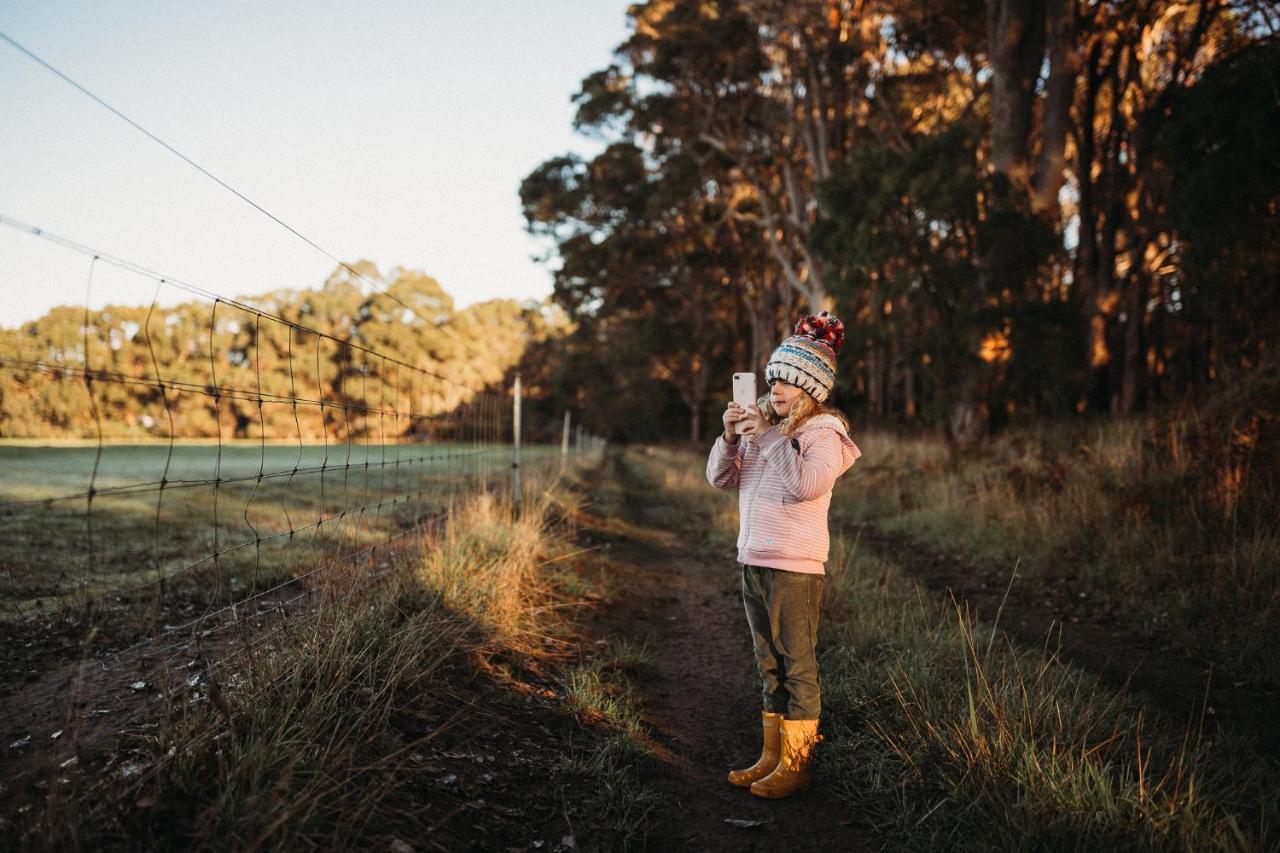 Margaret River Holiday Cottages Exteriér fotografie