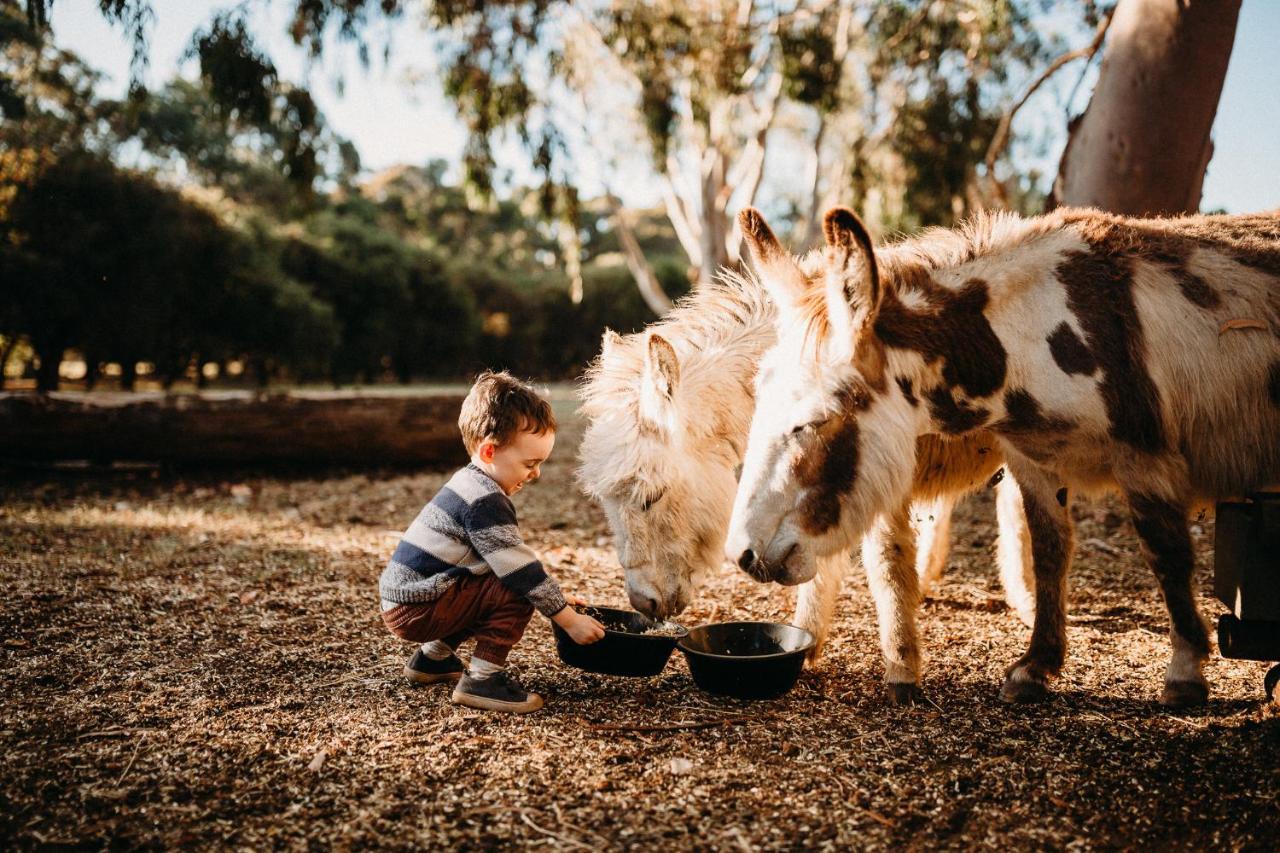 Margaret River Holiday Cottages Exteriér fotografie