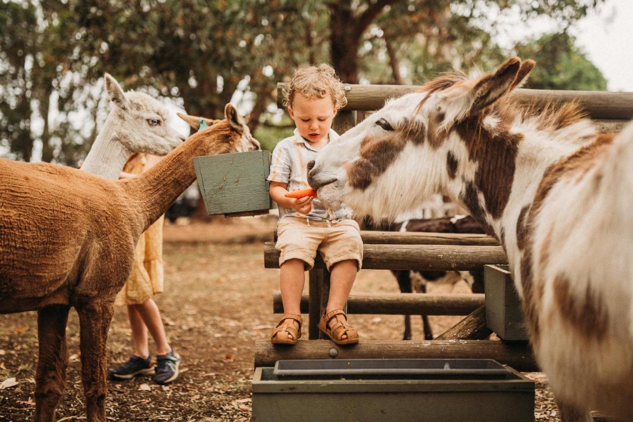 Margaret River Holiday Cottages Exteriér fotografie