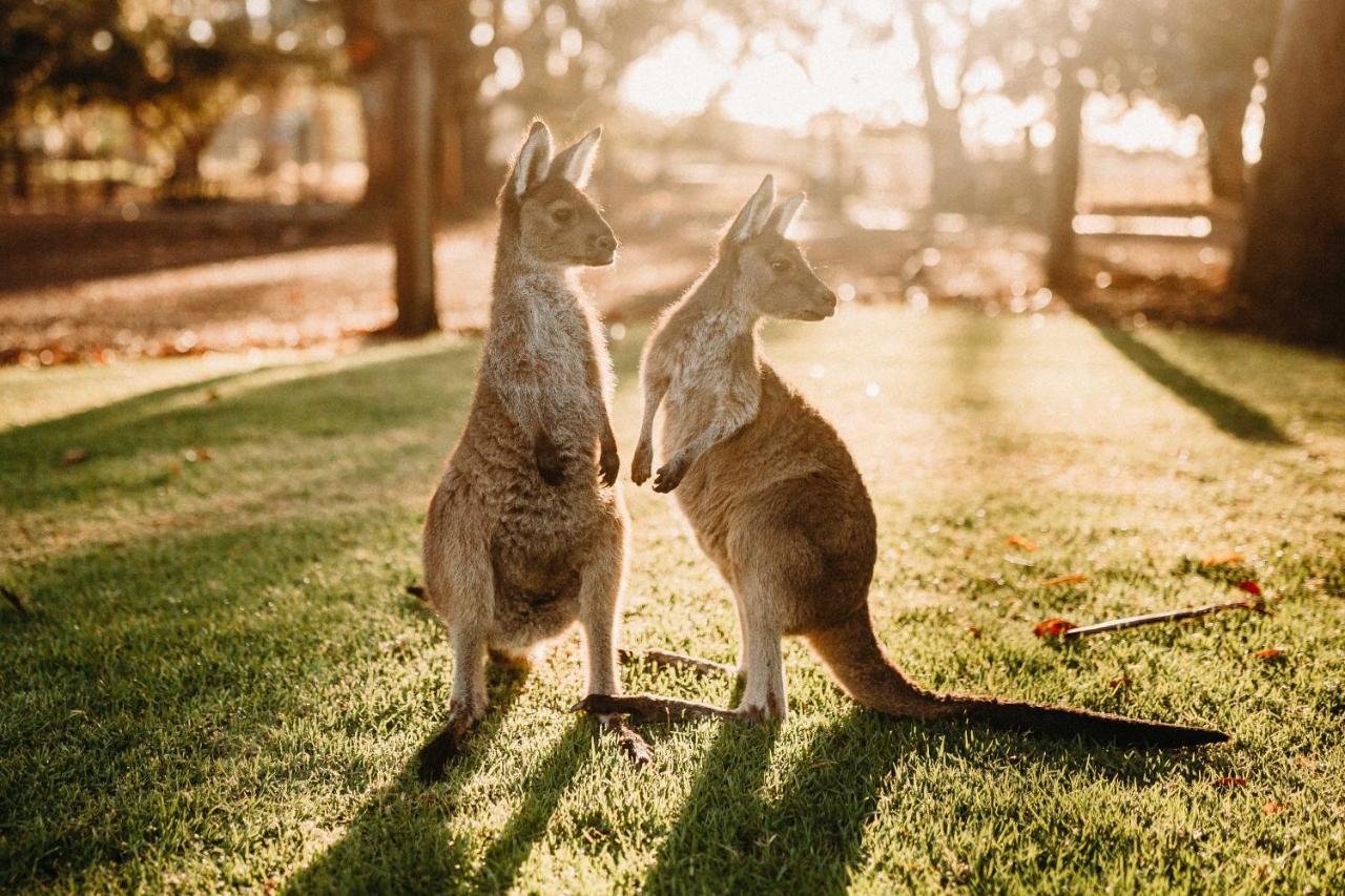 Margaret River Holiday Cottages Exteriér fotografie