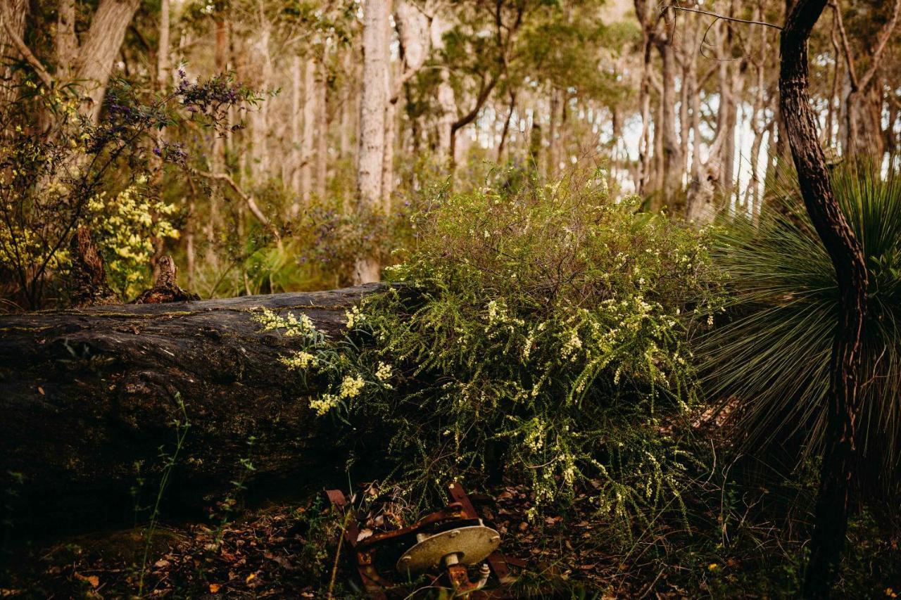 Margaret River Holiday Cottages Exteriér fotografie